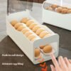 6b29abdd-9ad7-4054-9f01-a81c7c61d27f_trans.jpeg The Kindra Egg Storage Box