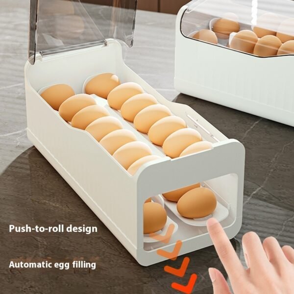 6b29abdd-9ad7-4054-9f01-a81c7c61d27f_trans.jpeg The Kindra Egg Storage Box
